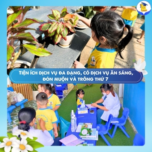 Ảnh 3