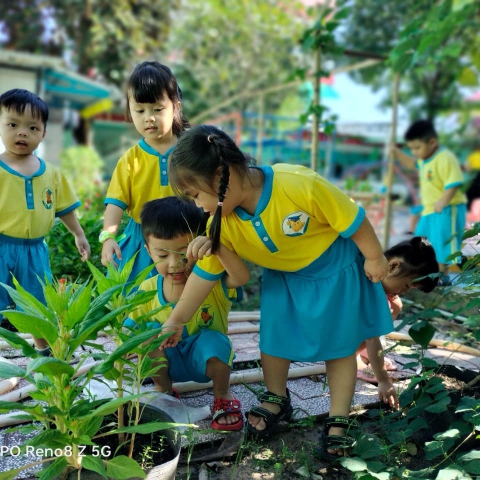 Bé Thông Minh Củ Chi: Môi trường học tập an toàn, thân thiện, hiện đại - Chắp cánh ước mơ cho bé yêu